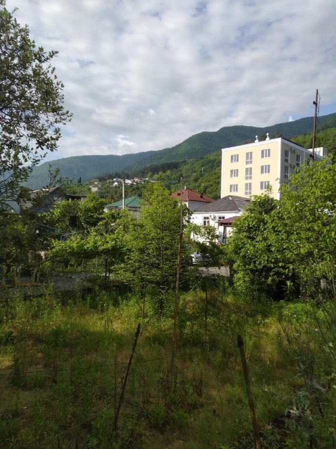 Na Shapsug Guest House Gagra Exterior foto