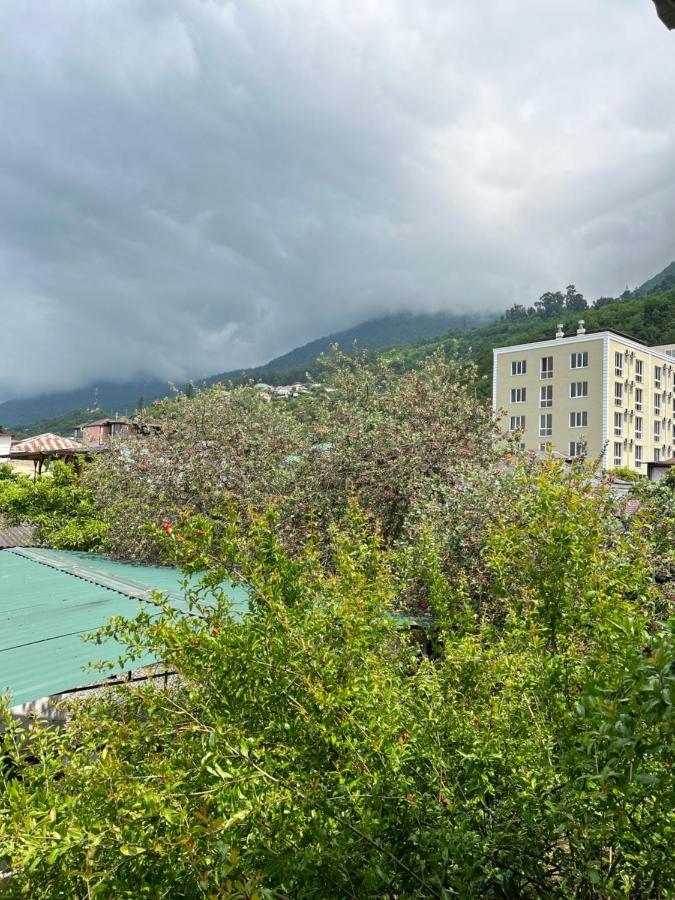 Na Shapsug Guest House Gagra Exterior foto
